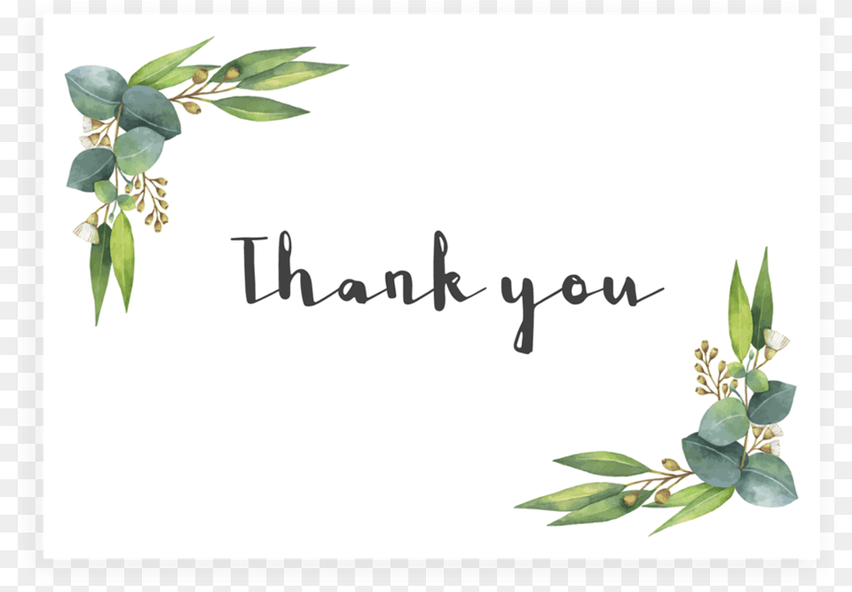 Eucalyptus Thank You Cards Printable Portable Network Graphics, Herbal, Herbs, Leaf, Plant Free Png