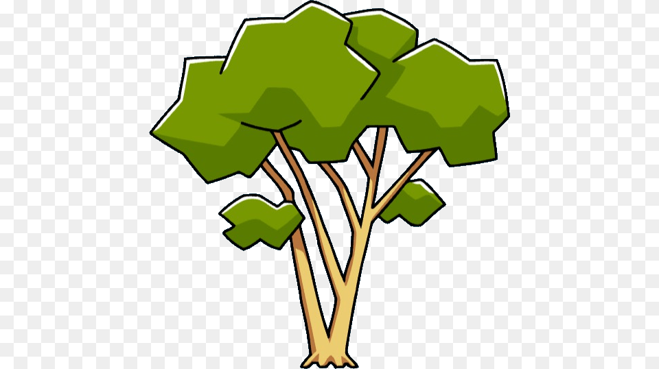 Eucalyptus Tree Scribblenauts Wiki Fandom Powered, Plant, Vegetation, Art Png Image