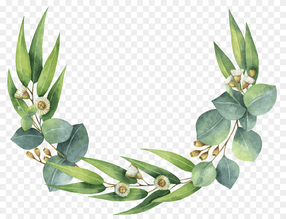 Eucalyptus Wreath Clipart Transparent Gum Leaves, Leaf, Plant, Flower, Food Free Png Download