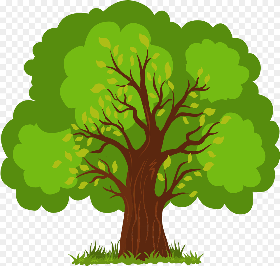 Euclidean Lush Vector Tree Hand Painted Vector Tree Clipart, Oak, Plant, Sycamore, Tree Trunk Png