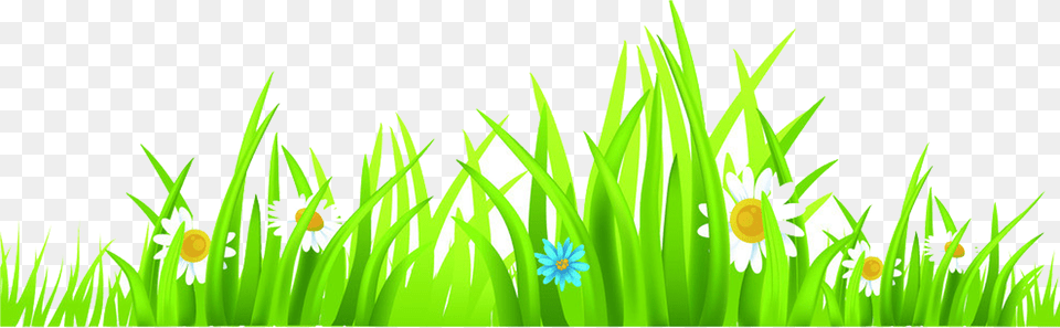 Euclidean Vector Cdr Clip Art Cartoon Butterfly Garden Background, Lawn, Plant, Grass, Green Free Png Download