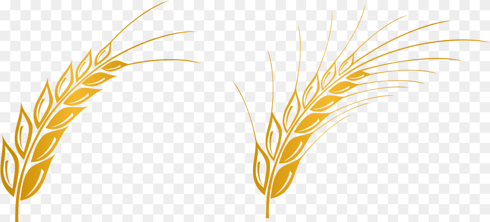 Euclidean Vector Gratis Computer File Background Wheat Clipart, Food, Grain, Produce, Plant Free Transparent Png