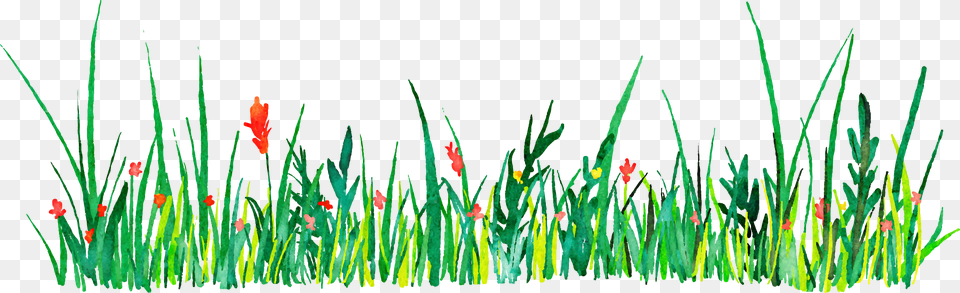 Euclidean Vector Icon Grass Watercolor, Plant, Flower, Lawn, Vegetation Free Png Download