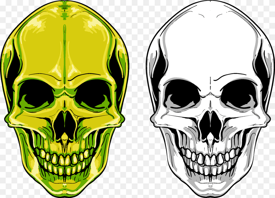 Euclidean Vector Skull Photo Clipart Skull, Person Png Image