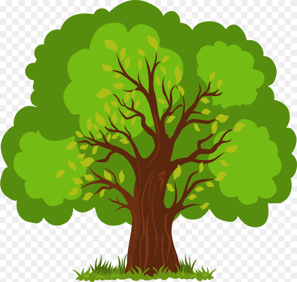 Euclidean Vector Tree Vector Tree Clipart, Oak, Plant, Sycamore, Tree Trunk Free Transparent Png