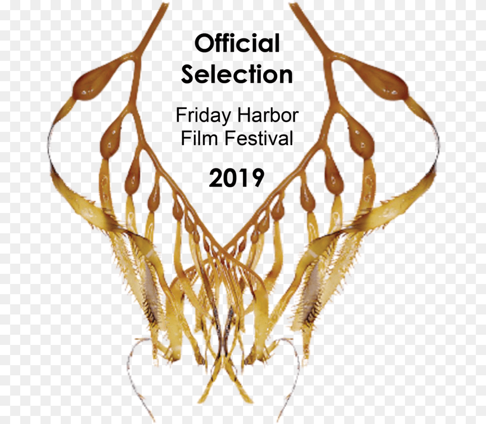 Eue Kelplaurel Friday Harbor Film Festival 2018, Accessories, Jewelry, Necklace, Animal Png