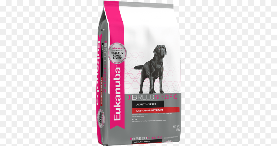 Eukanuba Labrador Eukanuba Labrador Retriever Nutrition Dog Food 30 Lb, Animal, Canine, Mammal, Pet Free Transparent Png