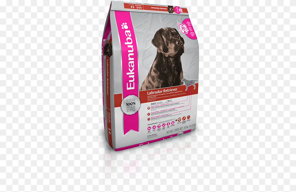 Eukanuba Labrador Retriever Nutrition Dog Food Eukanuba Breed Specific Adult Labrador Retriever Dog, Animal, Box, Canine, Mammal Free Png Download