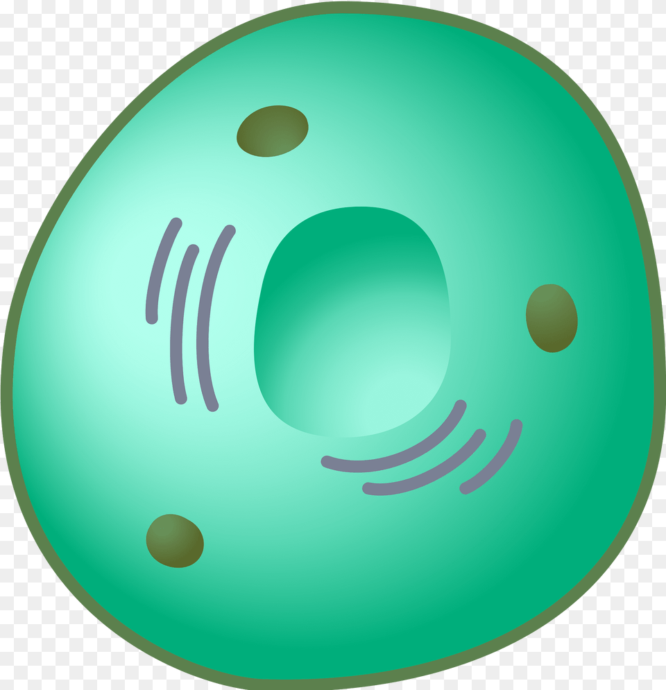 Eukaryot Clipart, Water Free Png Download