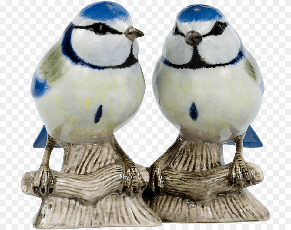 Eurasian Blue Tit, Animal, Bird, Finch, Jay Png