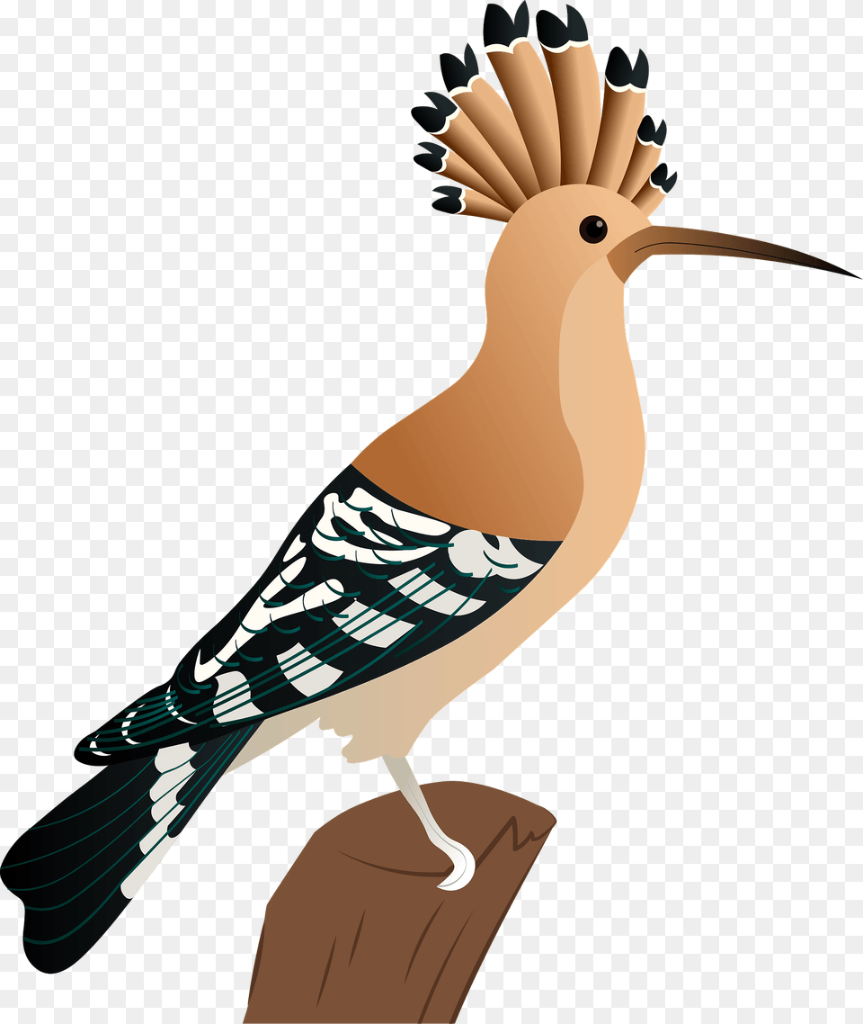 Eurasian Hoopoe Clipart, Animal, Beak, Bird, Jay Free Png Download