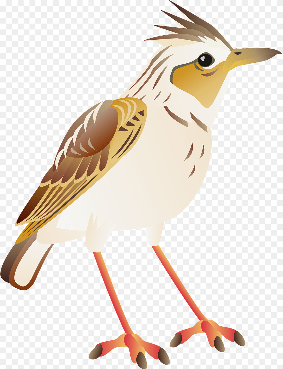 Eurasian Skylark Bird Clipart, Animal, Anthus, Beak, Sparrow Free Png Download