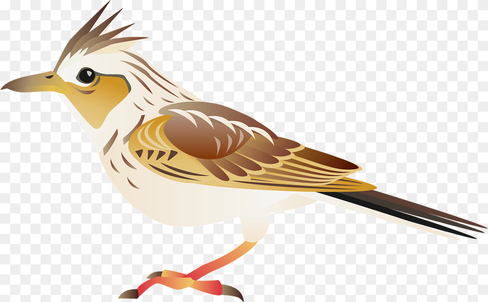 Eurasian Skylark Bird Clipart, Animal, Anthus, Sparrow, Fish Free Png