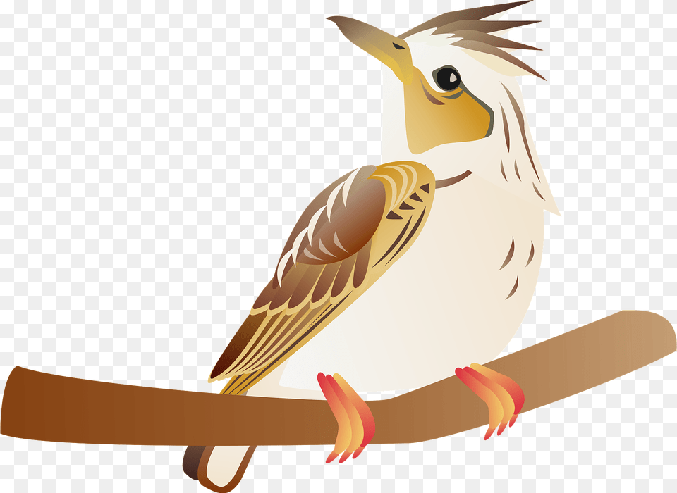 Eurasian Skylark Bird On A Branch Clipart, Animal, Sparrow, Beak, Jay Free Transparent Png