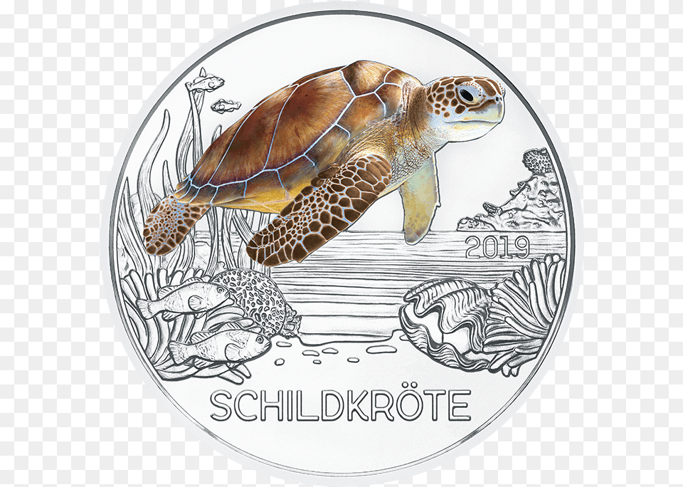 Euro Coin Colourful Creatures 2019 The Turtle Reverse 3 Euro Mnze Schildkrte, Animal, Reptile, Sea Life, Baby Free Transparent Png