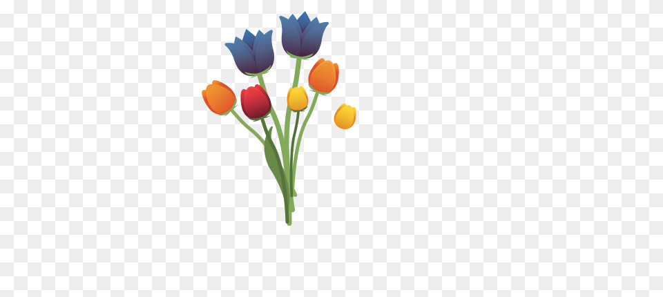Europa, Flower, Plant, Tulip, Petal Free Transparent Png