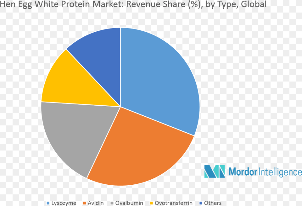 Europe Holds The Largest Share In The Global Hen Egg Circle, Chart, Pie Chart, Astronomy, Moon Png Image