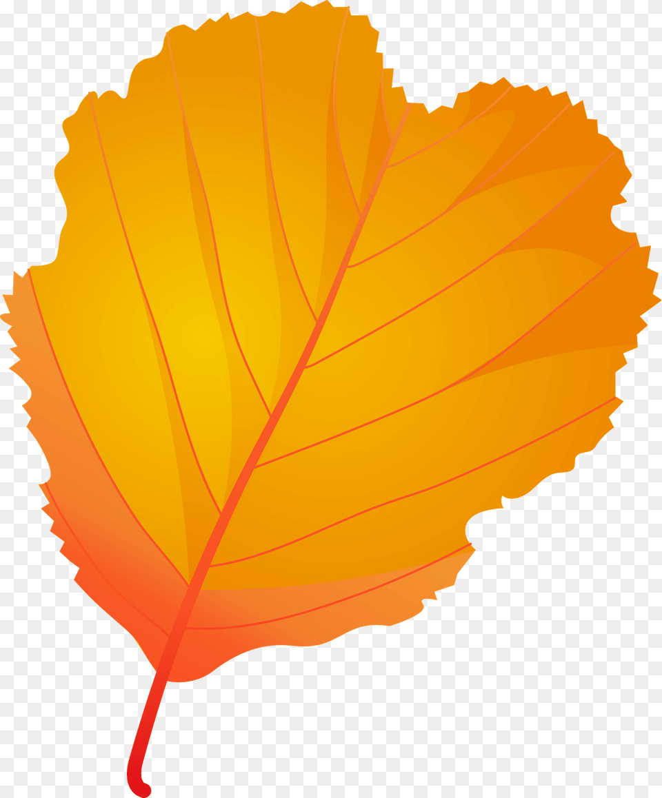 European Alder Autumn Leaf Clipart, Plant, Tree Free Transparent Png