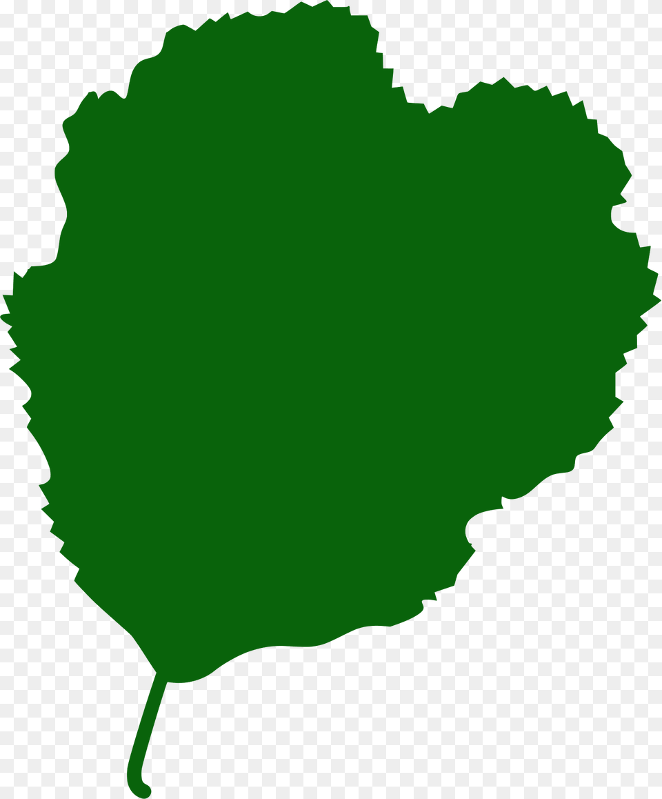 European Alder Leaf Silhouette, Green, Plant, Person Free Png Download