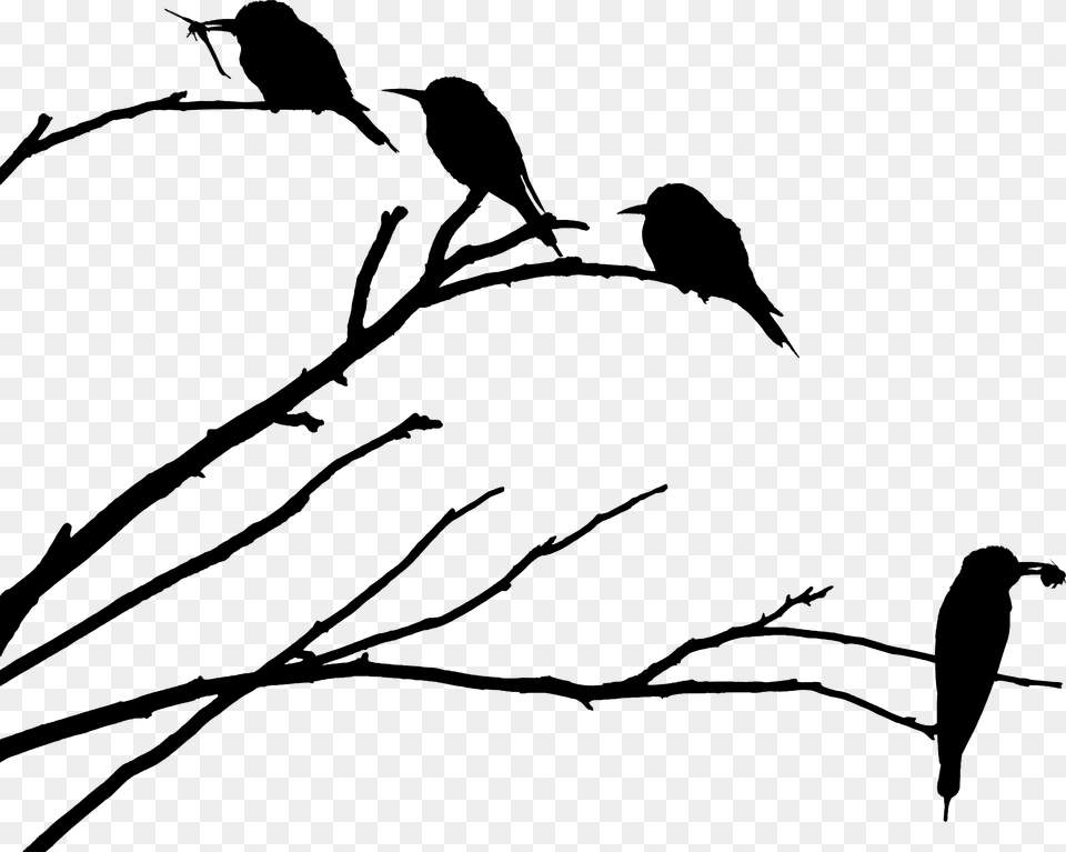 European Bee Eaters Silhouette Icons Know Why The Caged Bird Sings Quotes, Gray Png Image