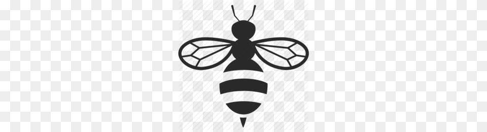 European Dark Bee Clipart, Animal, Insect, Invertebrate, Wasp Free Png Download