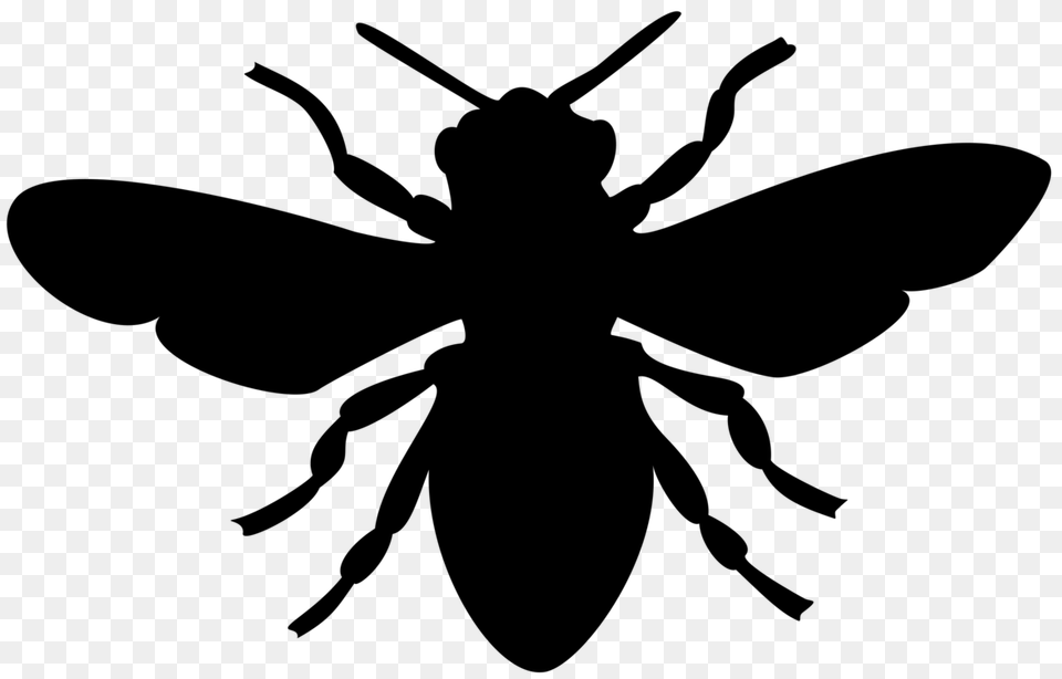 European Dark Bee Honey Bee Silhouette Bumblebee, Gray Png Image
