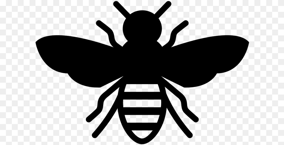 European Dark Bee Insect Stencil Honey Bee Bee Black And White, Gray Free Transparent Png