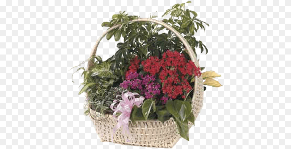European Garden Bouquet, Basket, Pottery, Potted Plant, Planter Free Png Download