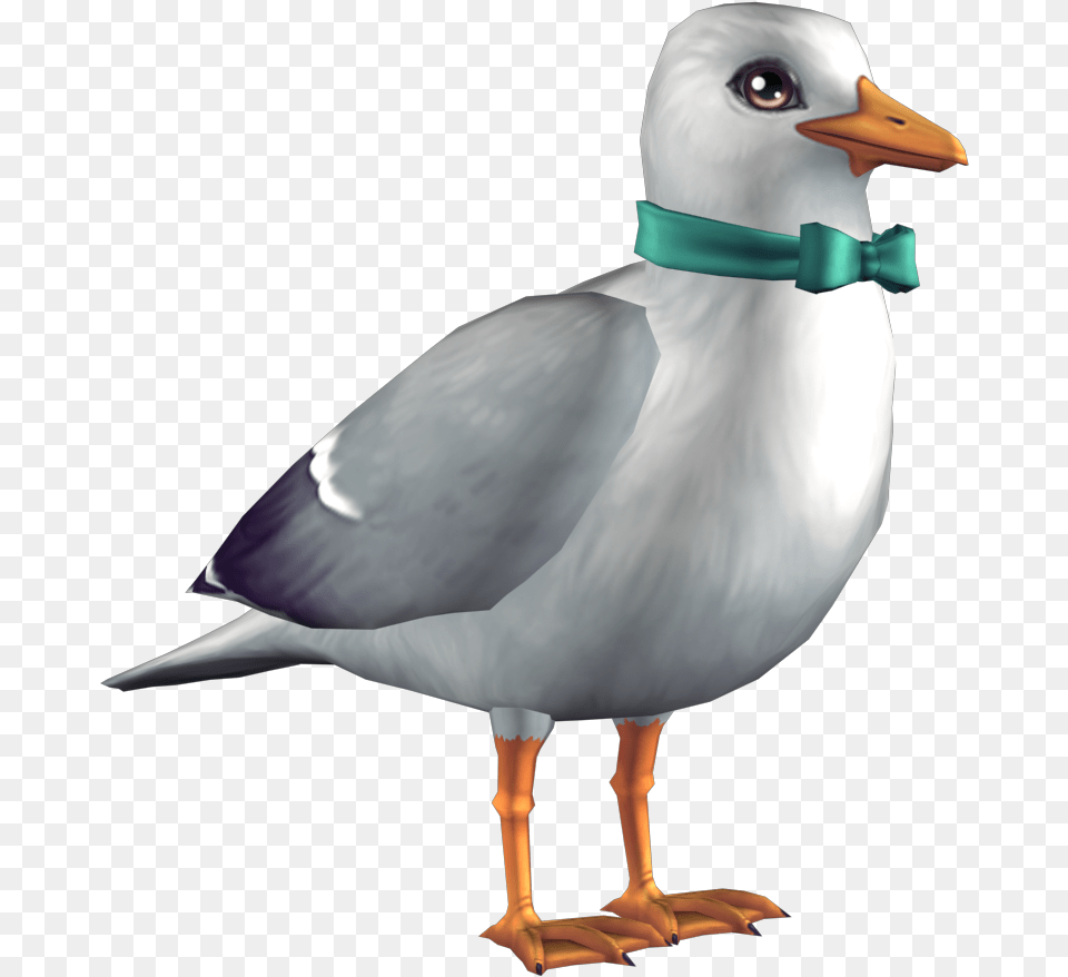 European Herring Gull, Animal, Beak, Bird, Seagull Free Png Download