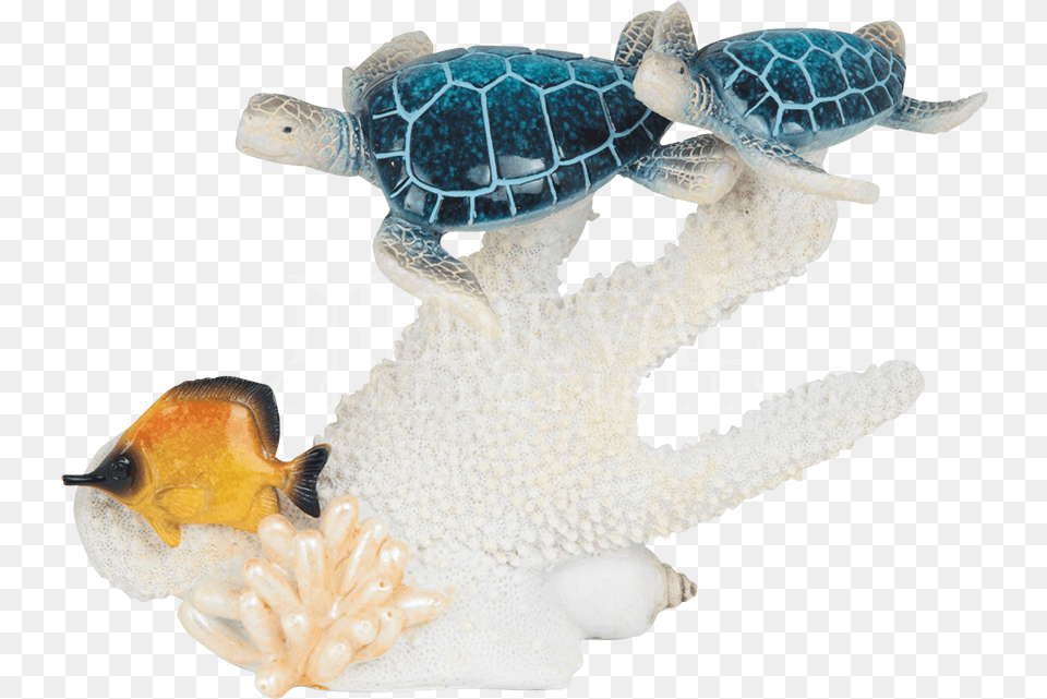 European Robin, Animal, Reptile, Sea Life, Turtle Free Transparent Png