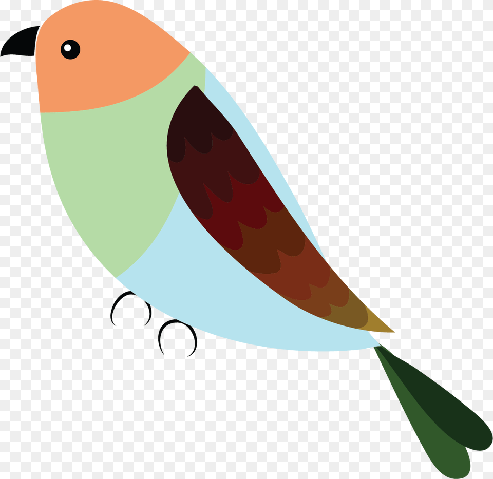 European Robin, Animal, Beak, Bird, Finch Png