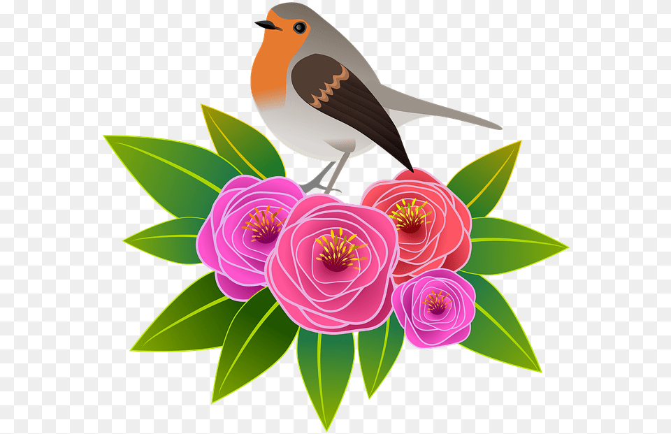 European Robin, Art, Pattern, Floral Design, Graphics Free Png Download