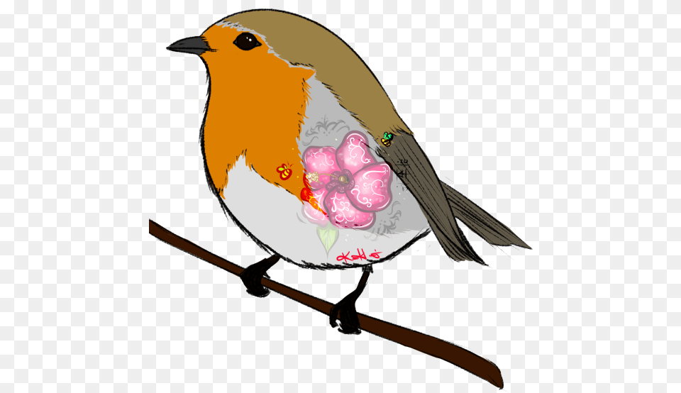 European Robin, Animal, Bird, Finch Png Image