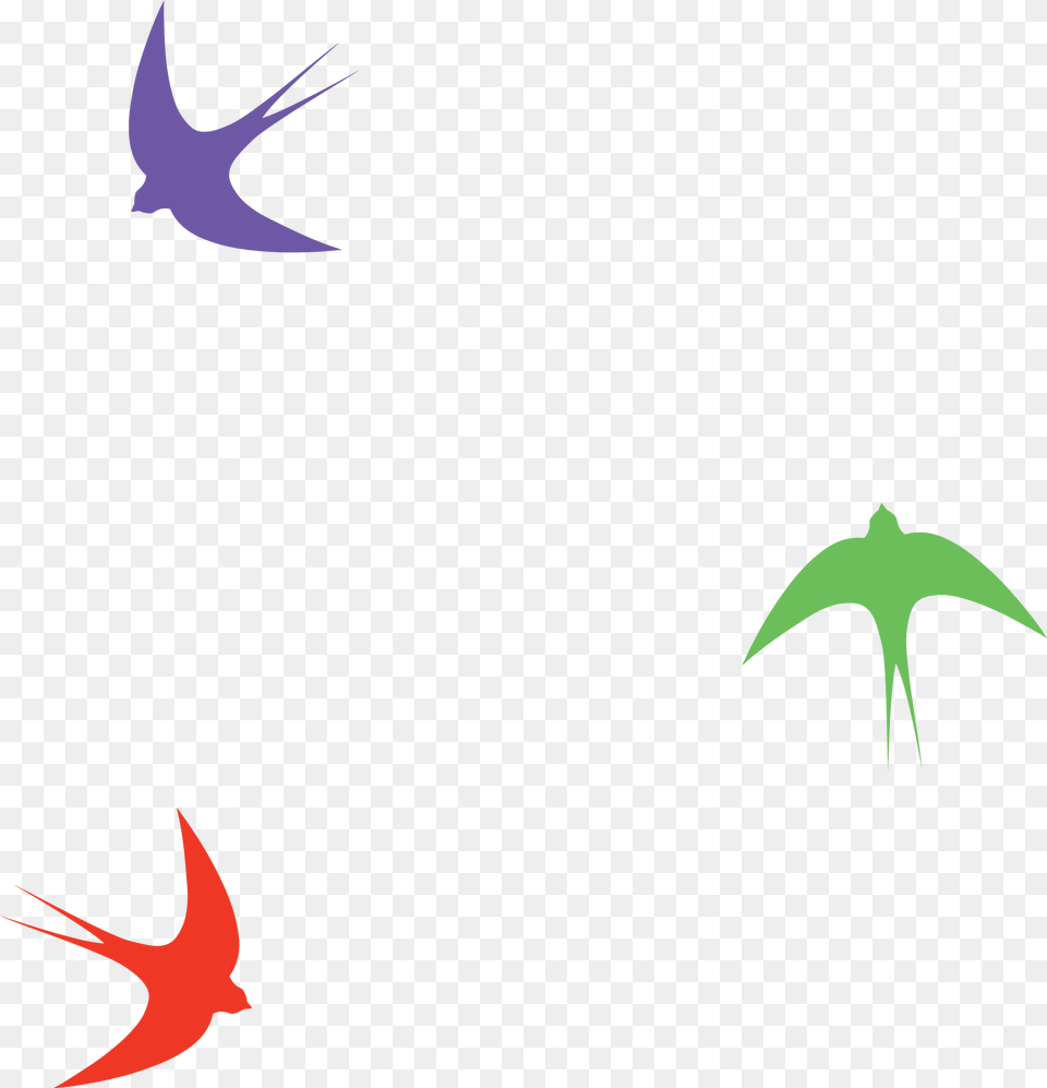 European Spring Diem, Animal, Bird, Flying, Swallow Free Png Download