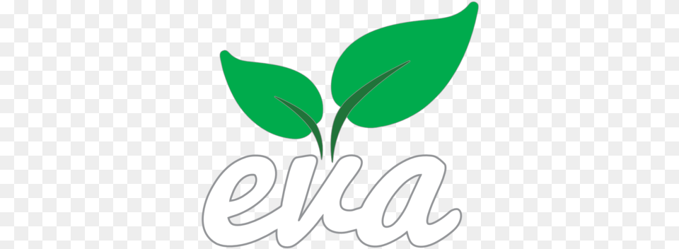 Eva, Leaf, Green, Herbal, Herbs Free Transparent Png