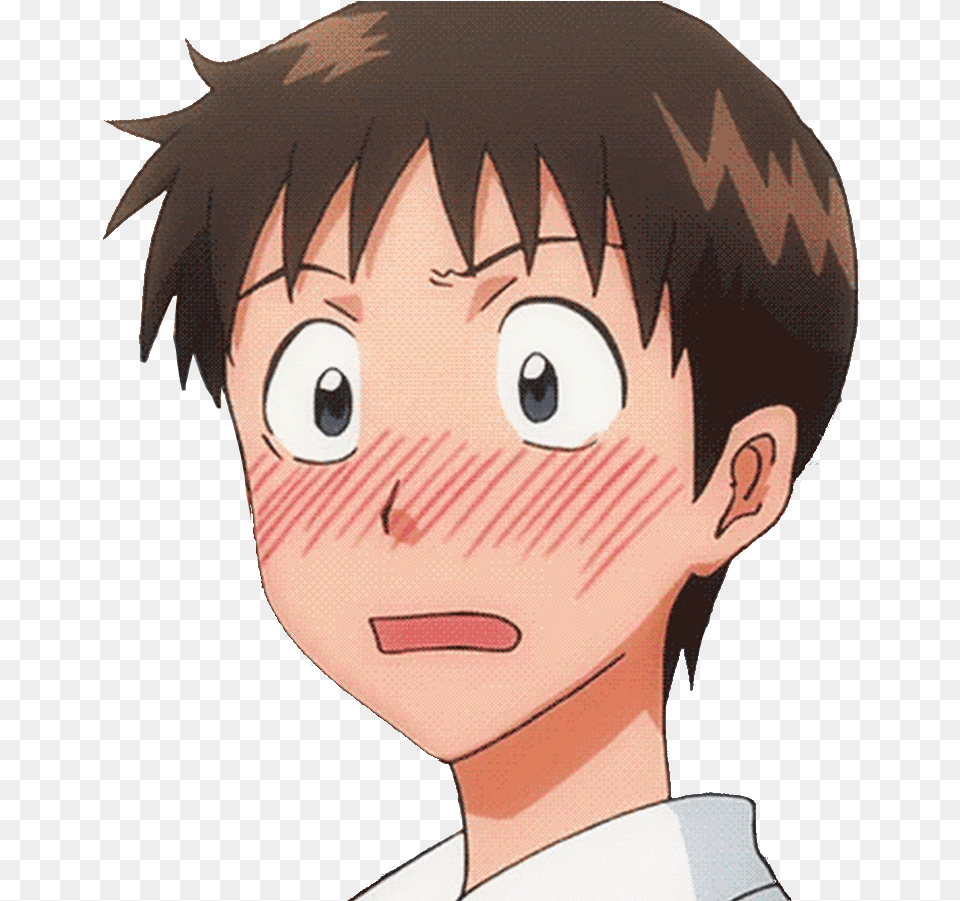 Evangelion Shinji Rei Ayanami Anti Social Neon Genesis Shinji Blushing, Book, Comics, Publication, Baby Png Image