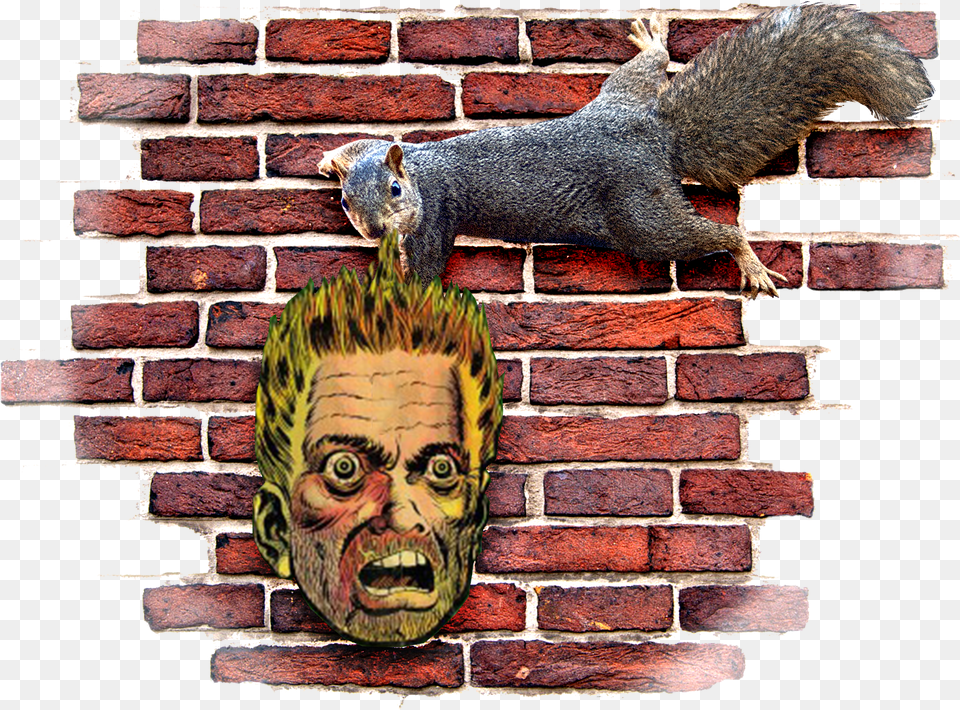 Evans Shaw Squirrels6class Img Responsive Owl Lazy Brick, Head, Person, Face, Wall Free Png Download