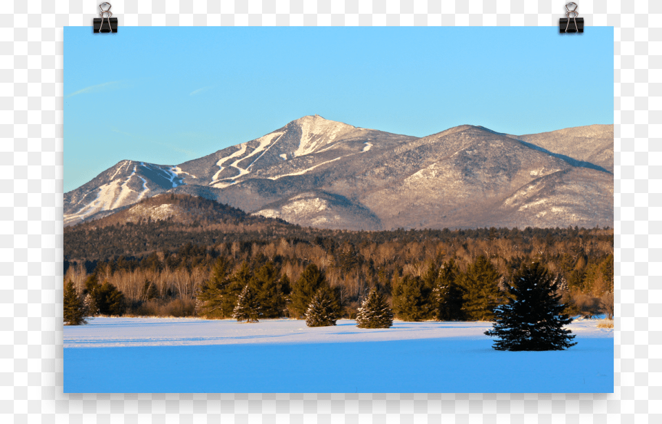 Evanwilliams Whitefacemt Pureadk Whiteface Mountain, Tree, Fir, Plant, Outdoors Free Png