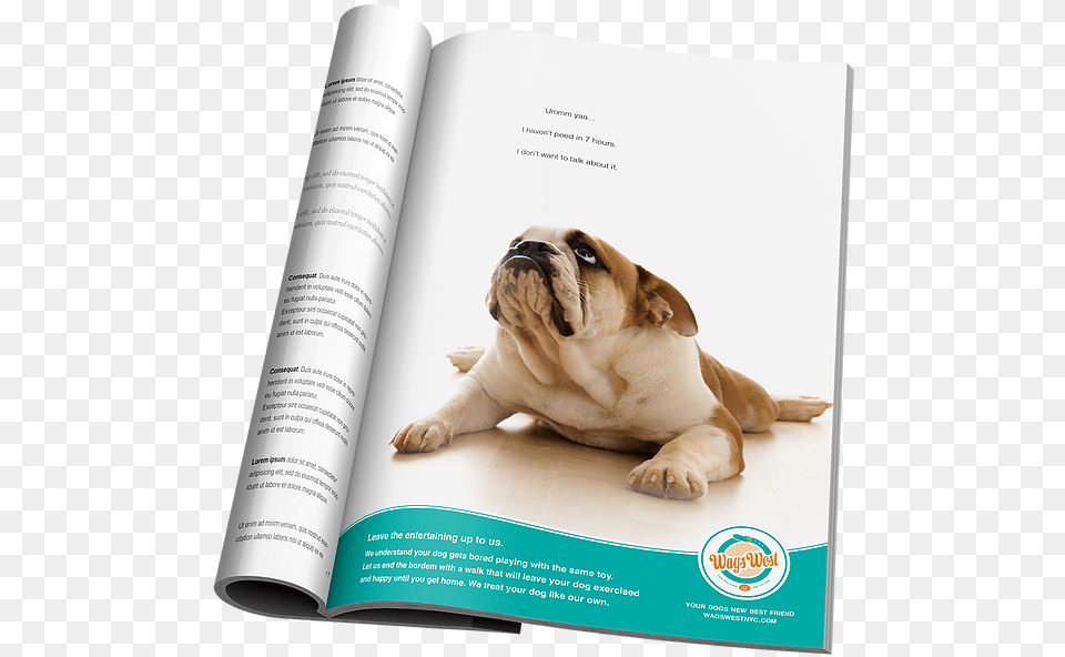 Even The Dogs Eat The Crumbs, Advertisement, Pet, Mammal, Dog Png