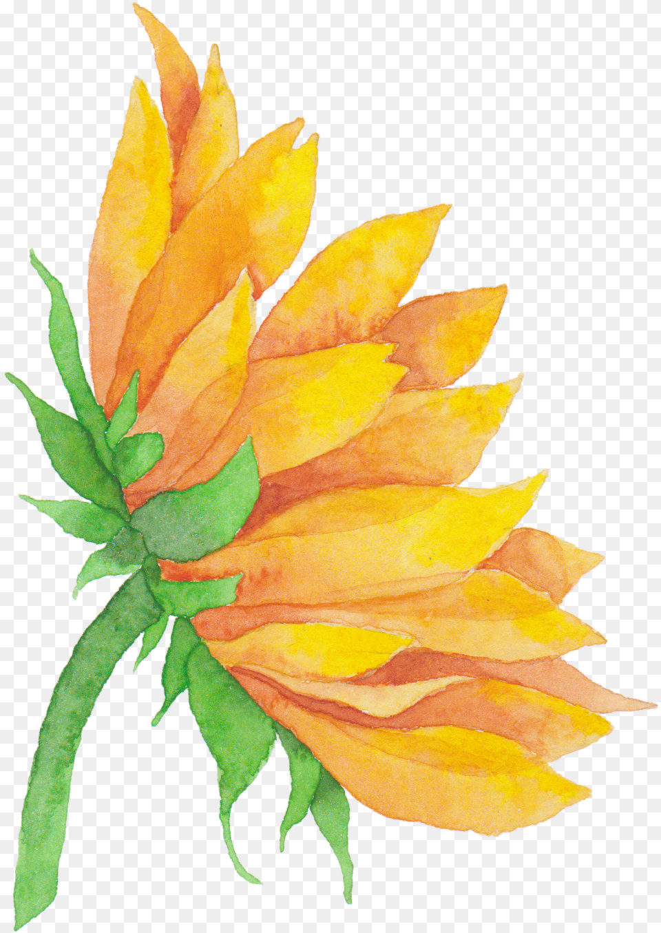 Even The Nice One Has Limits Cat Sunflower, Leaf, Plant, Flower, Petal Free Png Download