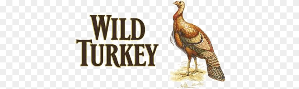 Event Details Wild Turkey Whiskey Logo, Animal, Bird, Partridge, Lizard Png Image
