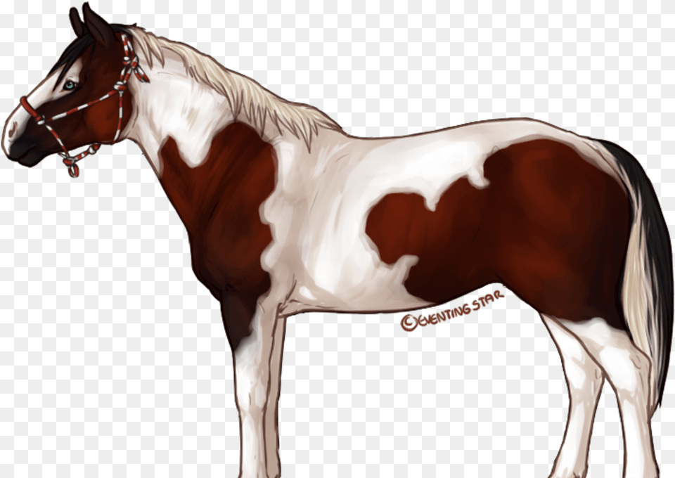 Eventingstar Horse Sim Game Indiegogo Horse Star Stable Transparent, Animal, Mammal, Stallion, Colt Horse Png Image
