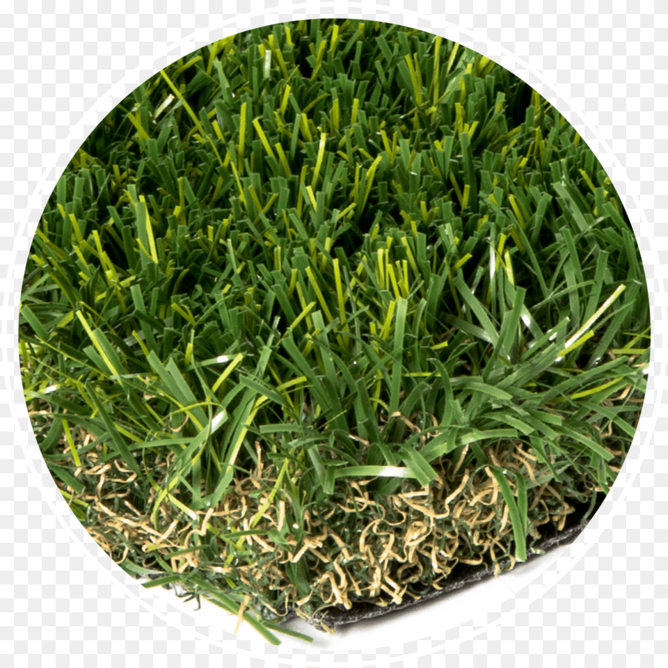 Everblade Artificial Turf, Grass, Herbal, Herbs, Plant Png Image