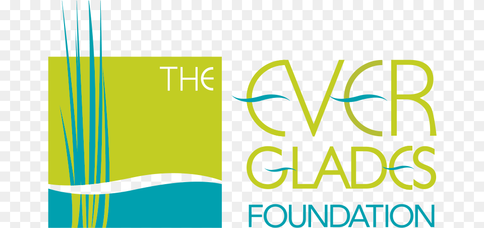 Everglades Foundation, Art, Graphics, Book, Publication Free Png Download