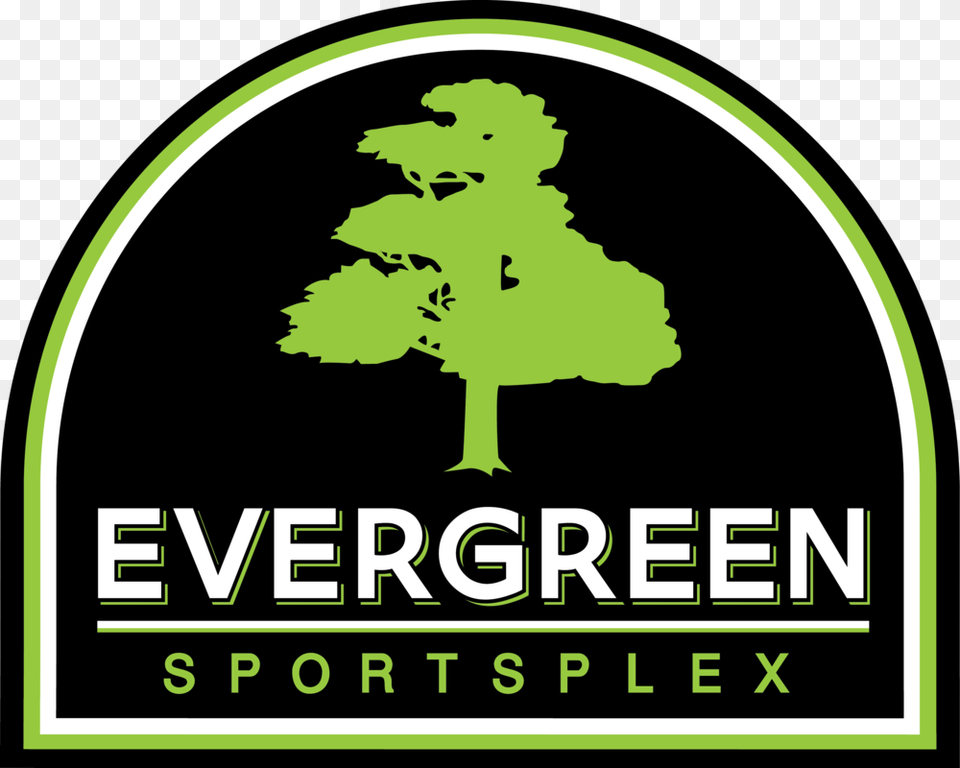 Evergreen, Green, Plant, Tree, Logo Png