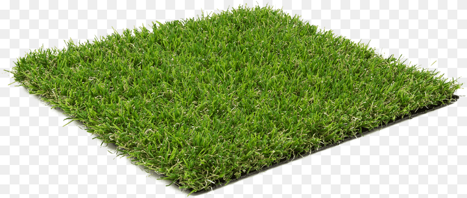 Evergreen Artificial Grass, Lawn, Moss, Plant, Vegetation Png