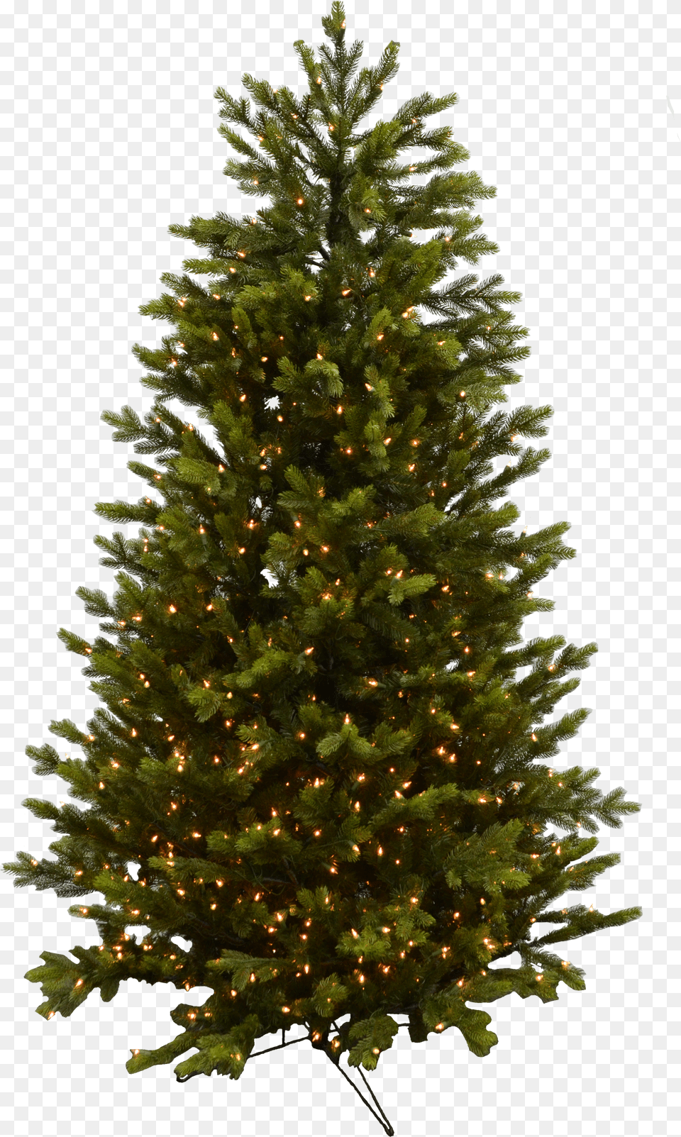Evergreen Branch Alexa Christmas Tree Free Png Download