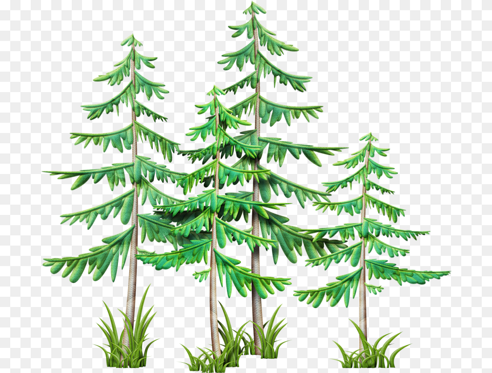 Evergreen Branch Clip Art Camping Stuff Branches Mountain Pine Tree Clip Art, Conifer, Fir, Plant, Green Free Png Download