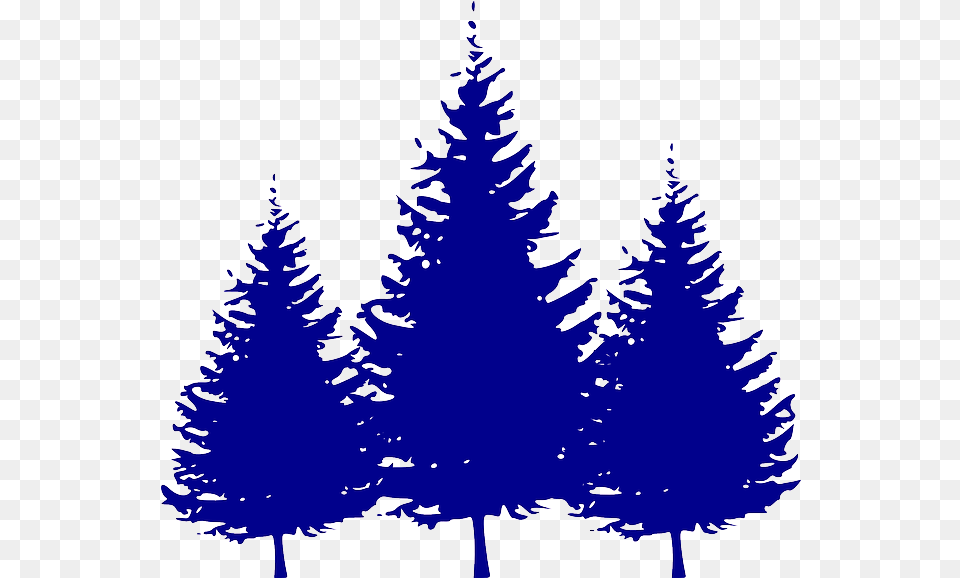Evergreen Branch Clip Art Christmas Tree Red Transparent Pine Tree Silhouette, Fir, Plant, Conifer, Person Free Png