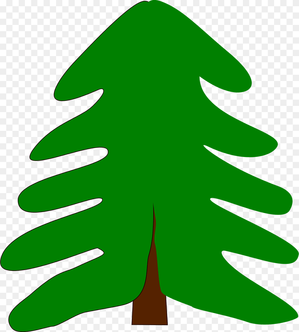 Evergreen Clipart, Green, Tree, Leaf, Plant Free Png